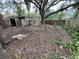 Large backyard with shed and mature trees at 432 2Nd Ne Ave, Largo, FL 33770