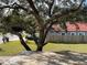 Large oak tree shades the front yard, with a home and fence visible at 432 2Nd Ne Ave, Largo, FL 33770