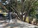 View of the house roof with tree branches and a chimney at 432 2Nd Ne Ave, Largo, FL 33770