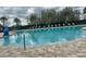 Community pool with lounge chairs and umbrellas at 18843 Ulmus St, Lutz, FL 33558