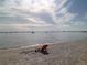 Scenic beach view with calm water, sailboat, and sandy shore at 2925 Clinton S St, Gulfport, FL 33707