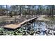 Scenic pond featuring a wooden dock and an abundance of water lilies at 11213 Warm Wind Way, Weeki Wachee, FL 34613