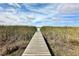 Wooden dock leading to lake, reeds on either side at 8333 Hardy Bay Loop, Wesley Chapel, FL 33545