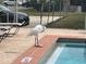 Relaxing pool area with a Great Egret visitor at 2902 Oak Cir, Tarpon Springs, FL 34689