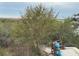 Kayaks stored near tranquil waterway, offering scenic views at 4312 Bayside Village # 204, Tampa, FL 33615