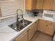 Kitchen sink with double basin and modern faucet at 4043 Fox Ridge Blvd, Wesley Chapel, FL 33543