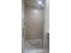 Large shower with glass enclosure and hexagonal tile floor at 10851 Mangrove Cay Ne Ln # 1112, St Petersburg, FL 33716