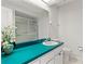 Bathroom with teal countertop and walk-in shower at 3722 Village Estates Pl, Tampa, FL 33618