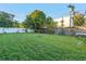 Spacious backyard with lush grass, wooden fence, and a large mango tree at 323 30Th N Ave, St Petersburg, FL 33704