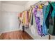 Large walk-in closet with plenty of hanging space at 1613 Prowmore Dr, Brandon, FL 33511