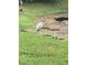 Wood stork in the backyard near a pond at 9107 Lingrove Rd, Weeki Wachee, FL 34613