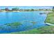 Serene lakefront view with homes and dock at 9107 Lingrove Rd, Weeki Wachee, FL 34613