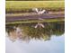 Serene backyard with a tranquil pond and lush green grass at 7905 Charing Cross Way, Palmetto, FL 34221