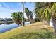 Beautiful backyard with lake view, lush grass, and palm trees at 155 Nina Way, Oldsmar, FL 34677