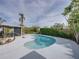 Tranquil kidney-shaped pool with lush tropical landscaping at 4608 S Shamrock Rd, Tampa, FL 33611