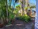 Lush backyard with tropical plants and a wooden fence at 3631 4Th N Ave, St Petersburg, FL 33713