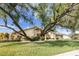 House partially covered by large trees, showcasing unique landscaping at 435 Palmdale Dr, Oldsmar, FL 34677