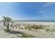 Scenic beach view with palm trees and white sand at 4950 Gulf Blvd # 206, St Pete Beach, FL 33706