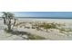 Beachfront lot with ocean view and tropical landscaping at 4950 Gulf Blvd # 206, St Pete Beach, FL 33706