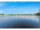 Scenic view of a tranquil lake with palm trees and a house in the background at 5205 Covesound Way, Apollo Beach, FL 33572