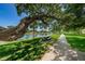 Relaxing park bench under a large, shade tree at 1408 Riverside Dr, Tarpon Springs, FL 34689