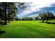 View of the lush green golf course with mature trees and a bright blue sky at 1575 Wicklow Dr, Palm Harbor, FL 34684