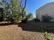 Side yard with mature trees and landscaping at 3619 Springville Dr, Valrico, FL 33596