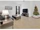Living room featuring a Christmas tree and comfortable seating at 11926 Cinnamon Fern Dr, Riverview, FL 33579