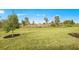 Grassy backyard view with minimal landscaping at 17203 Luminous Ave, Venice, FL 34293