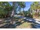 Backyard featuring mature trees, grass, and a concrete walkway to the home at 719 19Th S St, St Petersburg, FL 33712