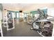 Well-equipped fitness center with various cardio and strength machines at 18128 Villa Creek Dr # 18128, Tampa, FL 33647
