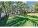 Green grassy backyard surrounded by trees and a fence at 2925 Winding Trail Dr, Valrico, FL 33596