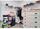 Well-organized closet with shelving and dresser at 11411 Alachua Creek Ln, Riverview, FL 33579
