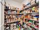 Large pantry with ample shelving for food storage at 11411 Alachua Creek Ln, Riverview, FL 33579