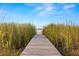 Wooden boardwalk path leading to a serene waterfront view at 9028 Ivy Stark Blvd, Wesley Chapel, FL 33545