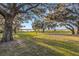 Scenic park view with large oak trees and a grassy area at 9028 Ivy Stark Blvd, Wesley Chapel, FL 33545