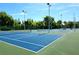 Well-maintained tennis courts with a net and surrounded by trees at 30923 Burleigh Dr, Wesley Chapel, FL 33543