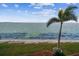 Peaceful waterfront view with palm tree at 5 Gateshead Dr # 203, Dunedin, FL 34698