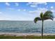 Stunning view of the water with palm trees and blue skies at 5 Gateshead Dr # 203, Dunedin, FL 34698