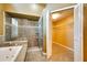 Bathroom with a glass-enclosed shower, soaking tub and an open closet at 12006 Stone Crossing Circle, Tampa, FL 33635