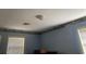 Blue bedroom with wood floors and window at 6658 Williams Rd, Seffner, FL 33584