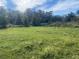 Open grassy lot with trees in background at 6658 Williams Rd, Seffner, FL 33584