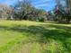 Large grassy lot with mature trees at 6658 Williams Rd, Seffner, FL 33584