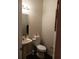Small powder room with pedestal sink and toilet at 10319 Boyette Creek Blvd, Riverview, FL 33569