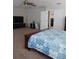 Large main bedroom with ensuite bathroom and walk-in closet at 10319 Boyette Creek Blvd, Riverview, FL 33569