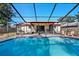 Back view of the screened-in pool and patio area at 2233 Curlew Rd, Dunedin, FL 34698