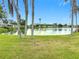 Peaceful lake view with mature palm trees and lush greenery at 2460 Terry Ln, Sarasota, FL 34231