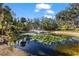 Serene pond with fountain and lush vegetation at 3025 Oakmont Dr, Clearwater, FL 33761