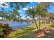 Backyard with a scenic lake view, lush landscaping, and swaying palm trees at 1160 Darlington Oak Ne Dr, St Petersburg, FL 33703