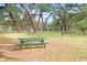 Relaxing picnic area with tables under the shade at 2813 Norwood Hills Ln, Valrico, FL 33596